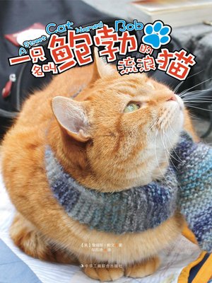 cover image of 一只名叫鲍勃的流浪猫